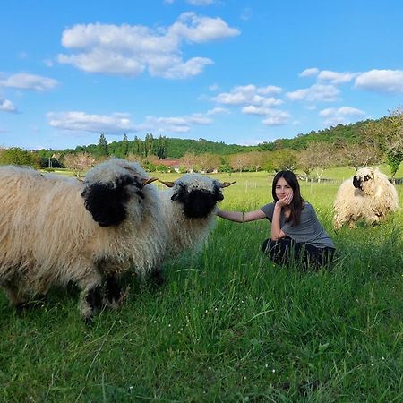 Ferme Des Petites Oreilles 4 Etoiles Montignac-Lascaux Luaran gambar