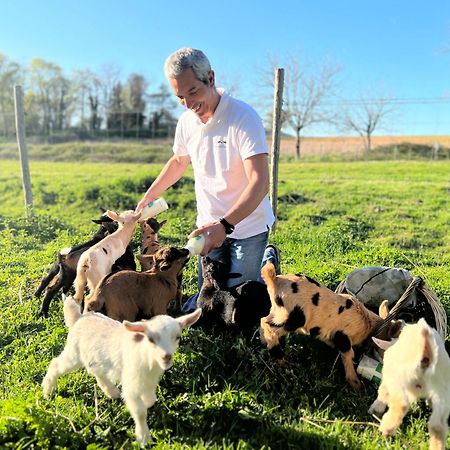 Ferme Des Petites Oreilles 4 Etoiles Montignac-Lascaux Luaran gambar