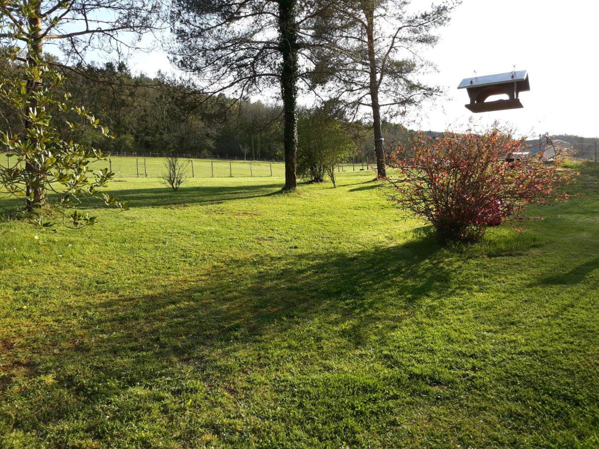 Ferme Des Petites Oreilles 4 Etoiles Montignac-Lascaux Luaran gambar