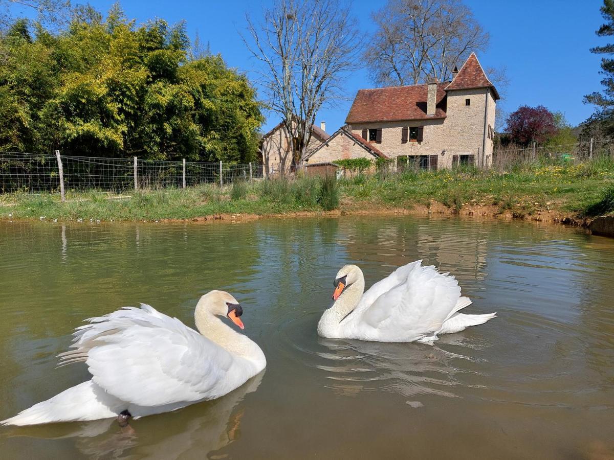 Ferme Des Petites Oreilles 4 Etoiles Montignac-Lascaux Luaran gambar