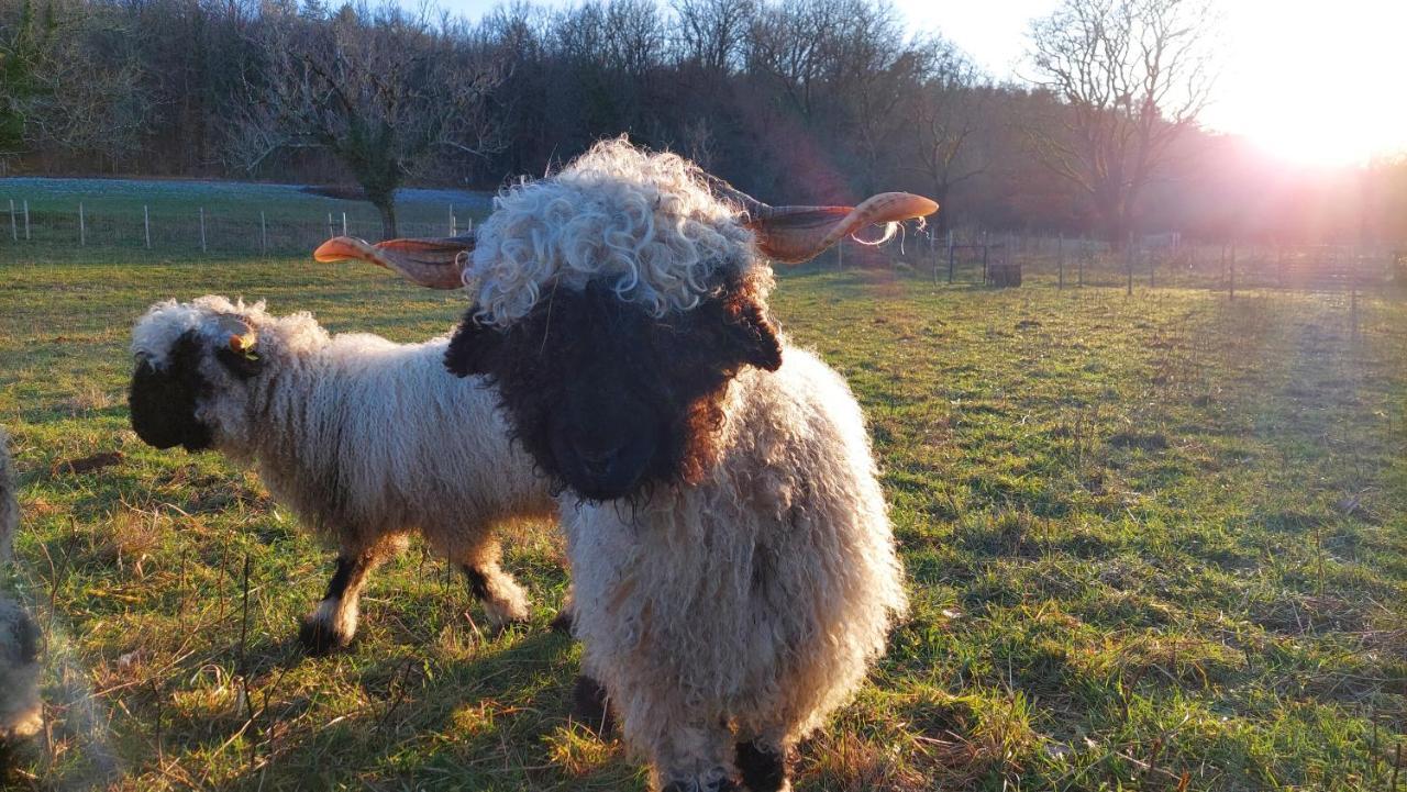 Ferme Des Petites Oreilles 4 Etoiles Montignac-Lascaux Luaran gambar