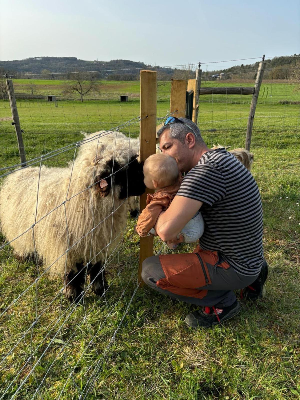 Ferme Des Petites Oreilles 4 Etoiles Montignac-Lascaux Luaran gambar