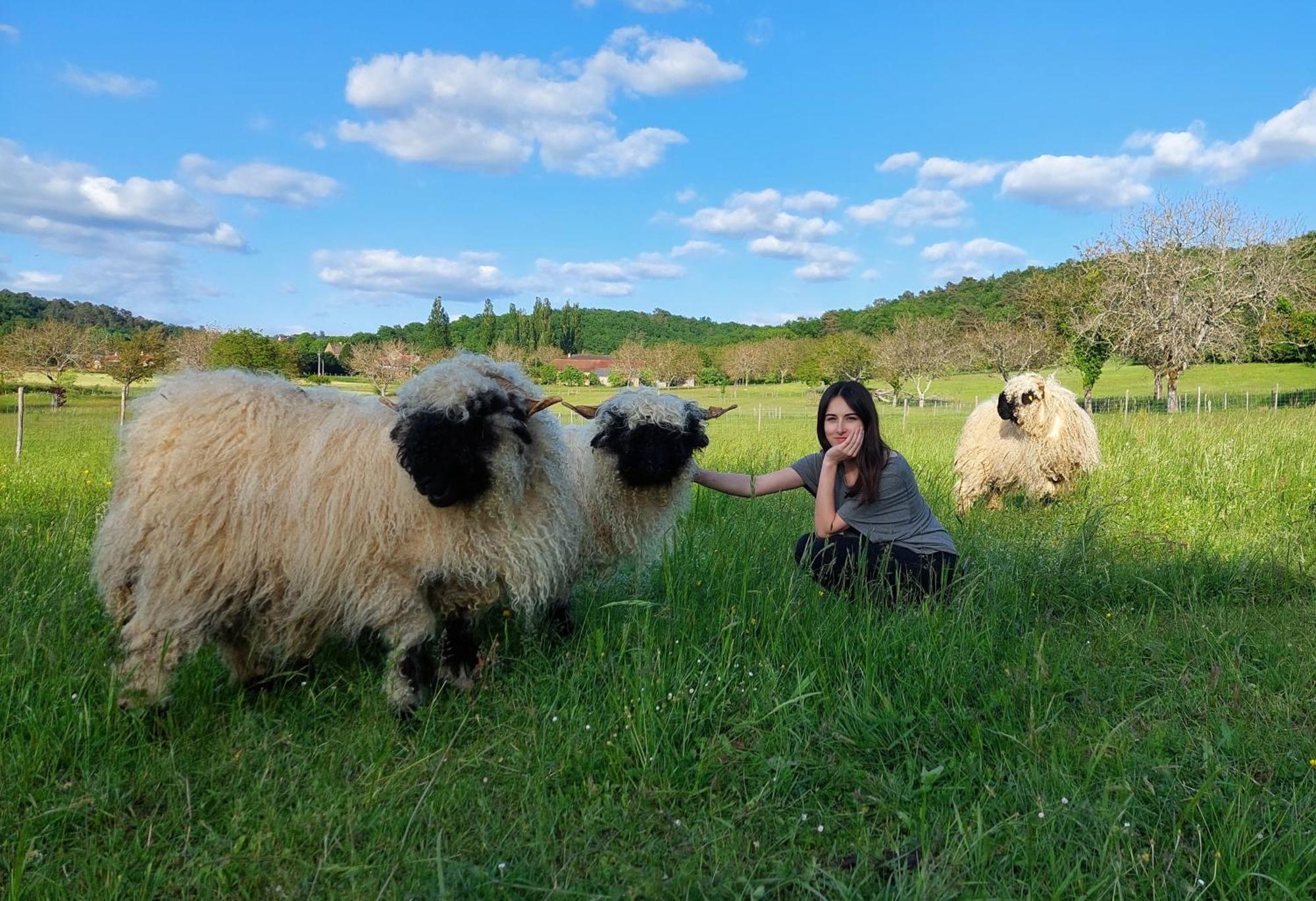 Ferme Des Petites Oreilles 4 Etoiles Montignac-Lascaux Luaran gambar